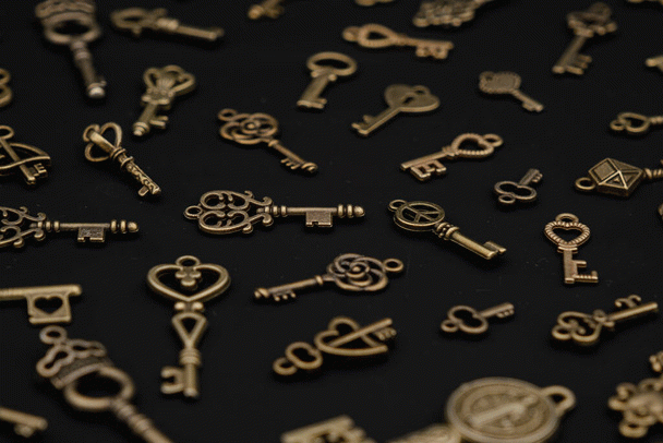 معرفی سگ عروسکی بیچون فریز: 17 نکته